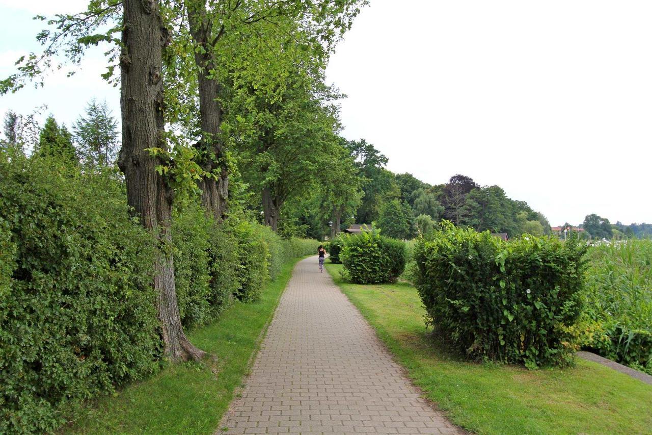 Ferienwohnung Rheinsberg See 9181 Esterno foto